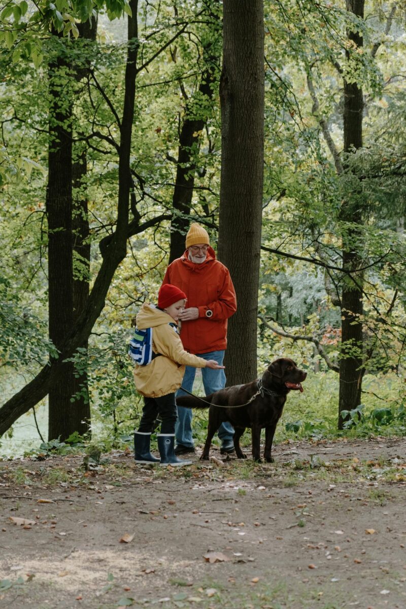 A father and child enjoy a walk with their dog in a peaceful forest setting.