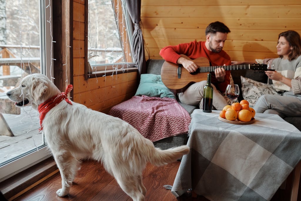 Couple enjoying a winter weekend in a cozy cabin with a dog and guitar music.