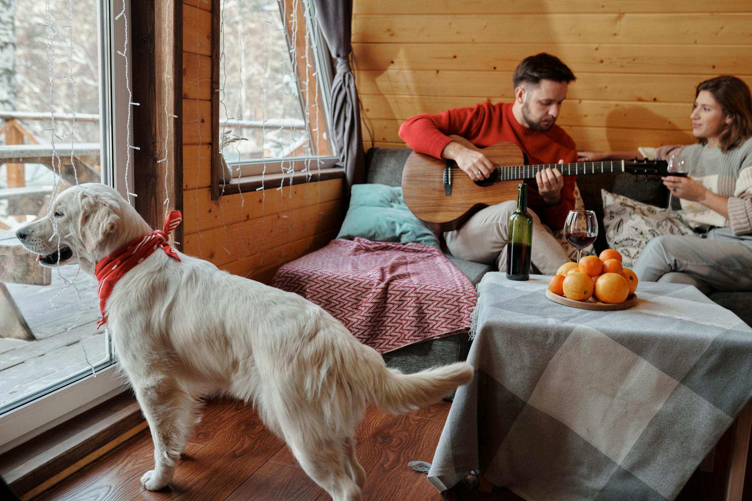 Couple enjoying a winter weekend in a cozy cabin with a dog and guitar music.