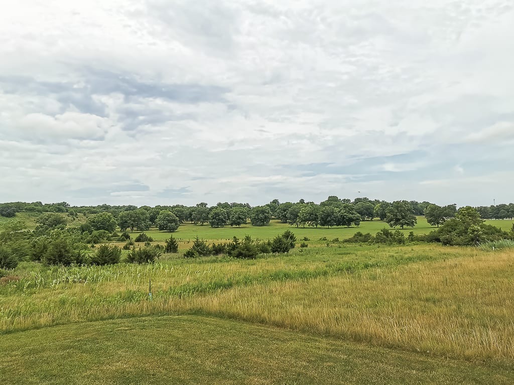 Surroundings of the valley cabins 1