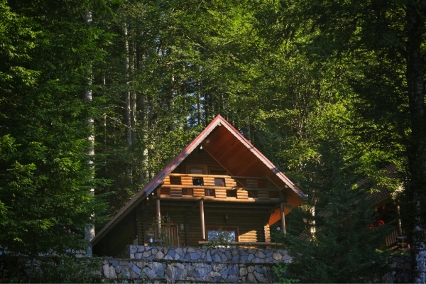 Log cabin with stone foundation nestled among tall green trees and natural forest surroundings.