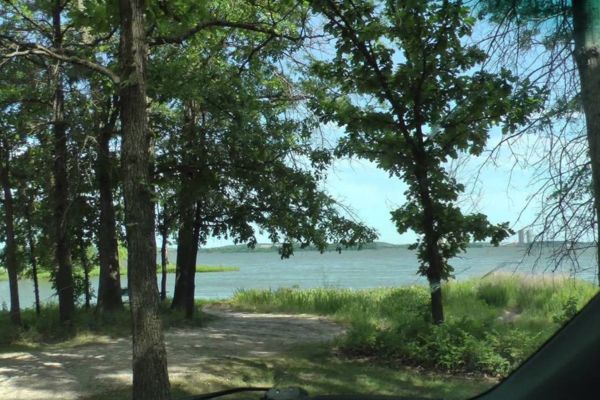 Shaded lakeside view through trees at a quiet nature spot.